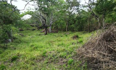 PARCELA CON AGUA POTABLE