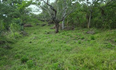 PARCELA CON AGUA POTABLE