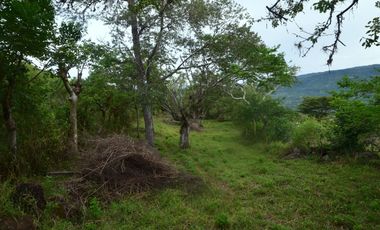 PARCELA CON AGUA POTABLE