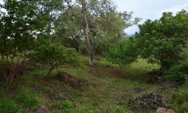 PARCELA CON AGUA POTABLE