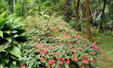 DIJUAL RESORT AKTIF DI DESA WISATA TURI JOGJA