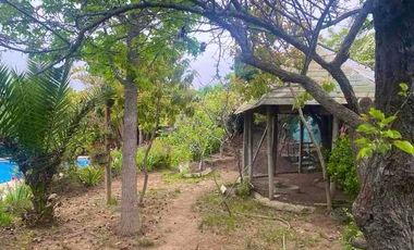 Casa en Venta – Paso Hondo, Quilpué | 1.300 m² terreno | 4D/3B | Piscina | 8.500 UF