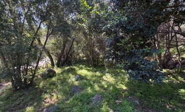 Espectacular parcela en Olmué