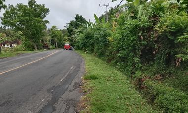 Disewakan tanah los pantai di tabanan bali pinggir jalan utama denpasar gilimanuk