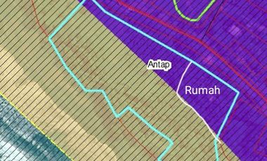 Disewakan tanah los pantai di tabanan bali pinggir jalan utama denpasar gilimanuk