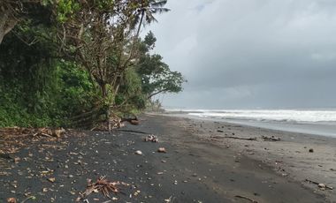 Disewakan tanah los pantai di tabanan bali pinggir jalan utama denpasar gilimanuk