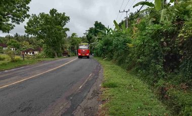 Disewakan tanah los pantai di tabanan bali pinggir jalan utama denpasar gilimanuk