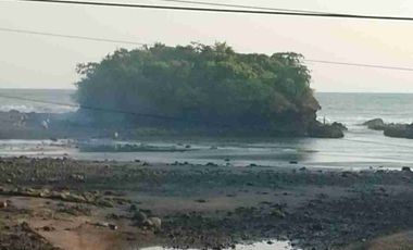 Disewakan tanah los pantai di tabanan bali pinggir jalan utama denpasar gilimanuk