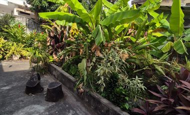 Departamento en Alquiler en Urdesa Central, Planta Baja, 2 Habitaciones, 2 Baños, Garaje, Sin Amoblar