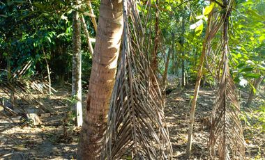 Jual Cepat! Harga Di Bawah Pasaran - Lokasi Strategis yogyakarta