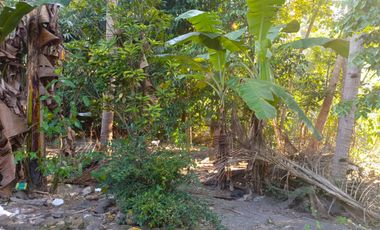 Jual Cepat! Harga Di Bawah Pasaran - Lokasi Strategis yogyakarta