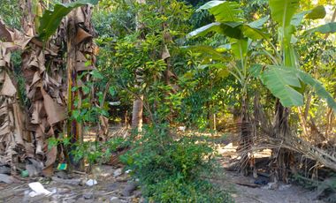 Jual Cepat! Harga Di Bawah Pasaran - Lokasi Strategis yogyakarta