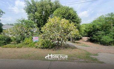 ที่ดินบ้านเดี่ยวชั้นเดียวตำบลเชิงกลัด อำเภอบางระจัน สิงห์บุรี  เนื่อที่ 204 ตารางวา