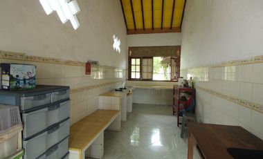 Rumah Halaman Luas Tengah Kota, Cocok Untuk Homestay