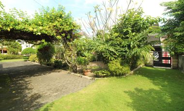 Rumah Halaman Luas Tengah Kota, Cocok Untuk Homestay