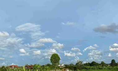 BANTAS RICE VIEW