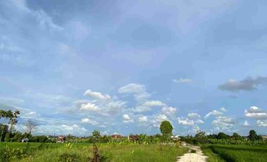 BANTAS RICE VIEW