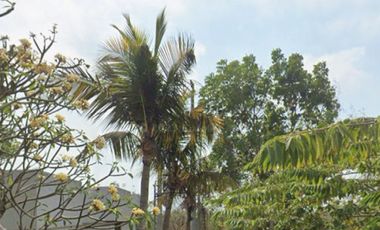 Dijual lahan murah lokasi villa. Posisi lahan hook bagus untuk dibuat menjadi beberapa villa