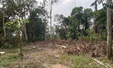 Dijual cepat tanah di Lebak Banten luas 3000 m