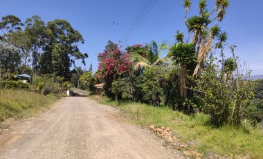 Venta lote conjunto Naranjos Ma T.