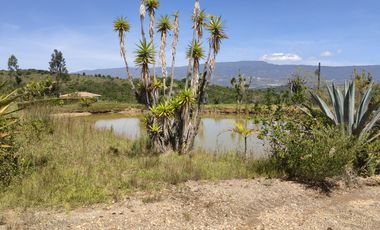Venta lote conjunto Naranjos Ma T.