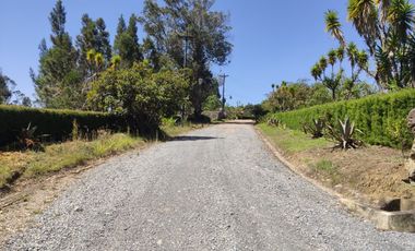 Venta lote conjunto Naranjos Ma T.