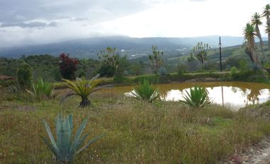 Venta lote conjunto Naranjos Ma T.