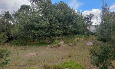 Venta lote conjunto Naranjos Ma T.