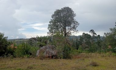 Venta lote conjunto Naranjos Ma T.