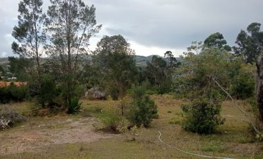 Venta lote conjunto Naranjos Ma T.