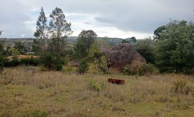 Venta lote conjunto Naranjos Ma T.