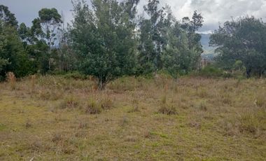 Venta lote conjunto Naranjos Ma T.