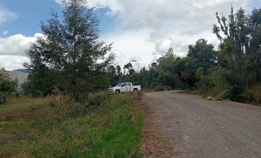 Venta lote conjunto Naranjos Ma T.