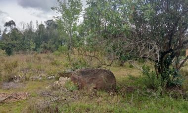 Venta lote conjunto Naranjos Ma T.