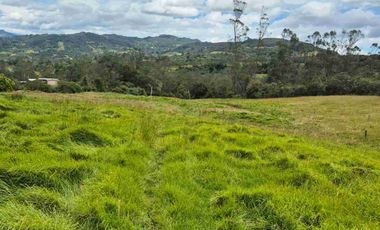 VENTA O PERMUTA X CAMIONETA