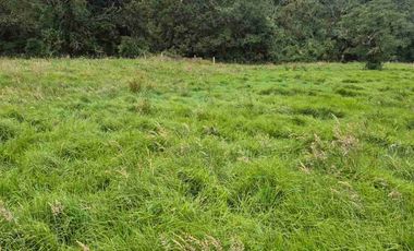 VENTA O PERMUTA X CAMIONETA