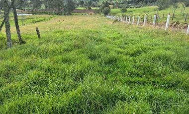 VENTA O PERMUTA X CAMIONETA