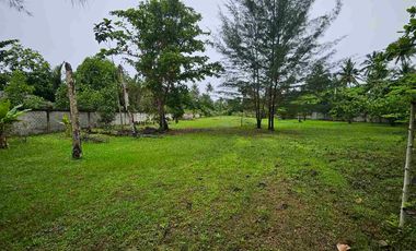 Dijual Tanah Pinggir Pantai Lamaru