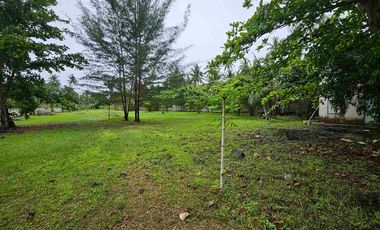 Dijual Tanah Pinggir Pantai Lamaru