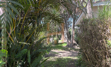 Propiedad comercial de renta en Tumbaco sector La Cerámica, estratégica ubicación sobre la Ruta Viva, ideal para negocio como Spa, restaurantes.