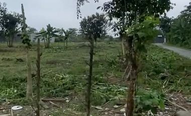 Vía a puerto limón, a dos cuadras de la vía principal.