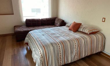 EXCLUSIVO LOFT PARA UNA PERSONA / NO MASCOTA