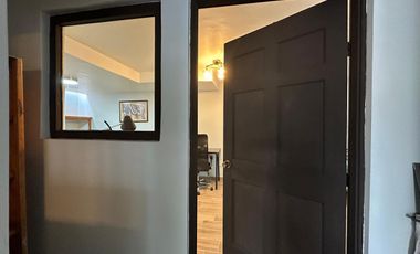 PEQUEÑO LOFT PARA UNA PERSONA SIN MASCOTA