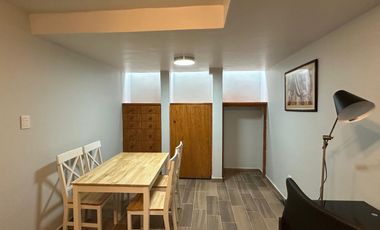 PEQUEÑO LOFT PARA UNA PERSONA SIN MASCOTA