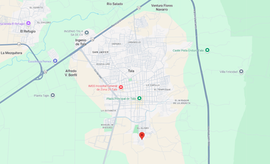 Casa en venta en C. Ocaso 21, Col. Tala, 45305 Tala, Jal. Gran oportunidad de inversión (remate bancario).