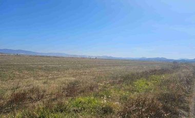 4 HAS en VENTA en Zapotlán Hgo.