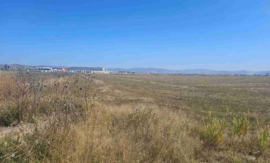 4 HAS en VENTA en Zapotlán Hgo.