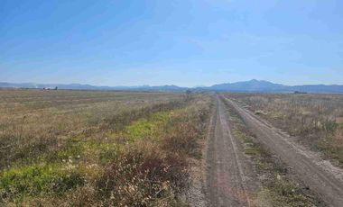 4 HAS en VENTA en Zapotlán Hgo.