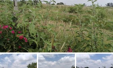 Venta de Terreno en Rancho San José de Buenavista