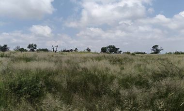 Venta de Terreno en Rancho San José de Buenavista